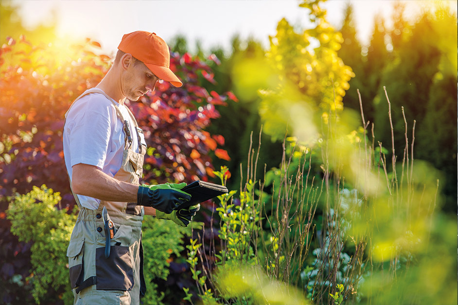 Servicio de Jardinería