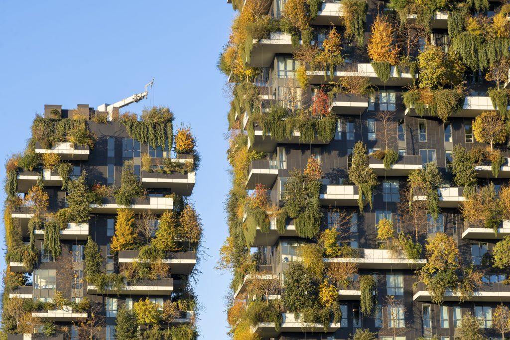 Jardines verticales, obras estéticas combaten contaminación en ciudades